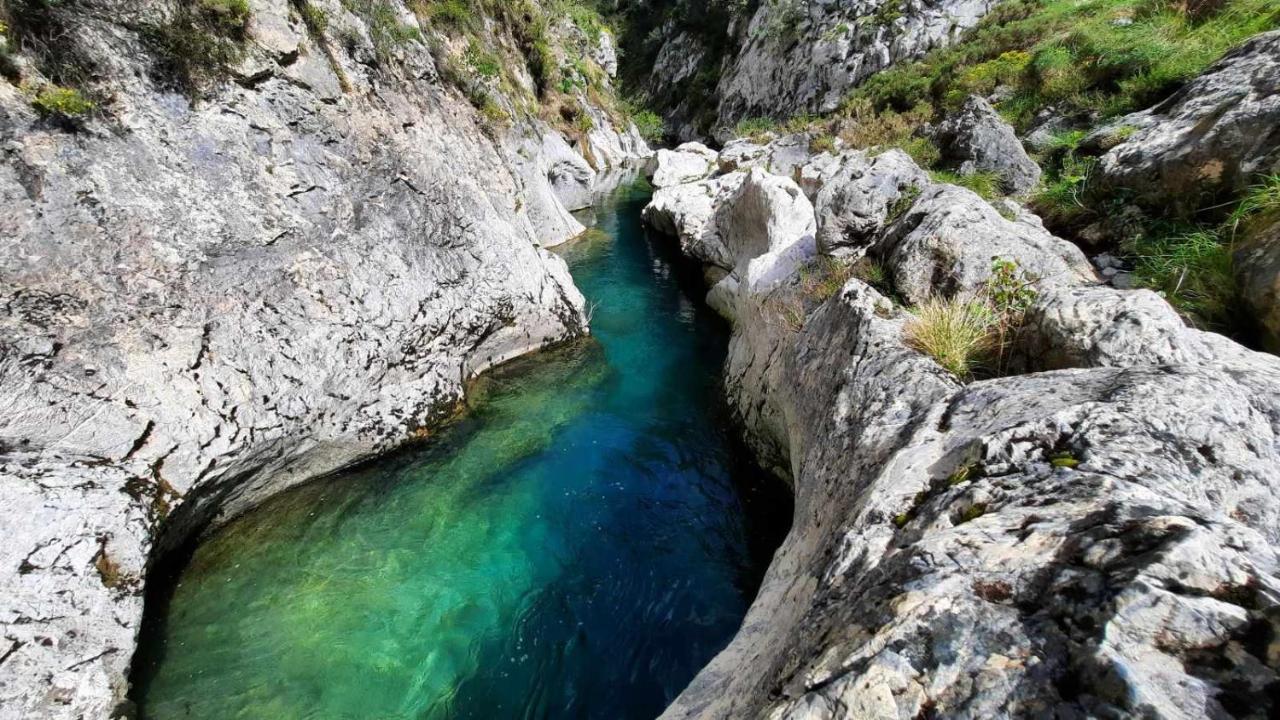 En Montanas De Carmen Riaño